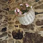 Hébergement de vacances Casa Outeiro *